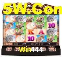 Sinta a adrenalina dos jogos de cassino com Win444